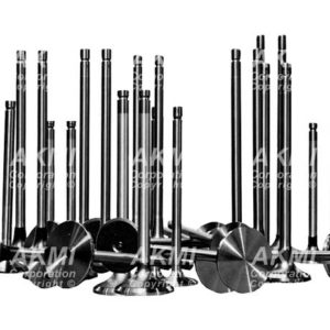 Engine Valves