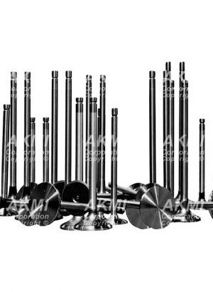 Engine Valves