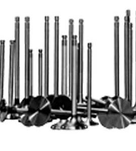 Engine Valves